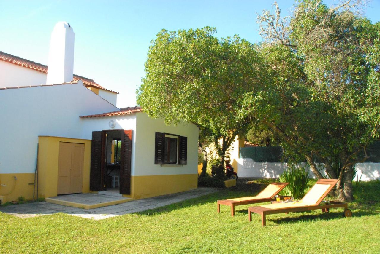 Joivy 3-Br Cottage With Terrace And Garden In Colares Σίντρα Εξωτερικό φωτογραφία