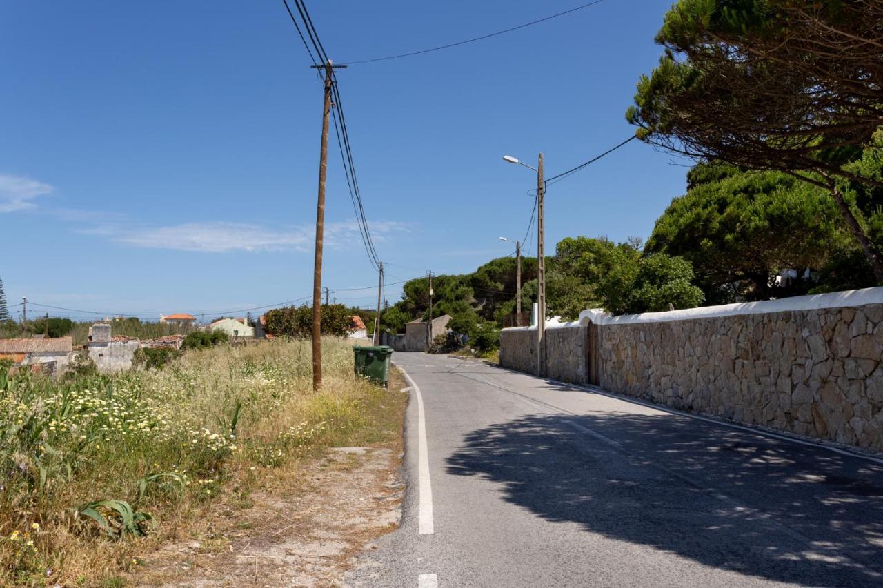 Joivy 3-Br Cottage With Terrace And Garden In Colares Σίντρα Εξωτερικό φωτογραφία